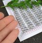 Perła Naturalna do Wklejania Srebrna 5x5,5 mm Sztuka Kaboszon - 2