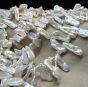 Perła Naturalna Biała Keshi 24x8x4 mm 